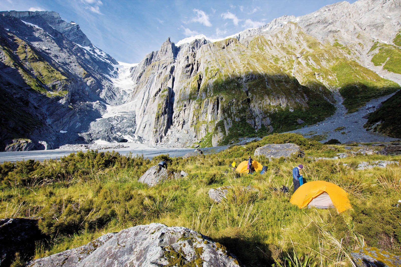 115_alps_header
