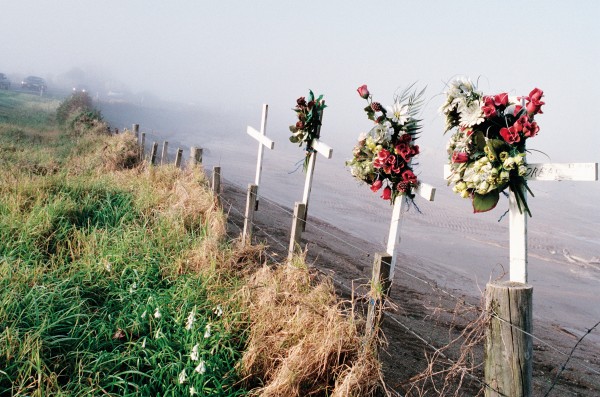Roadside Crosses: A Memorial and a Message | New Zealand Geographic