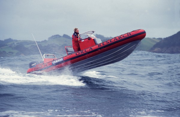 My research boat is a 5.8m rigid hull inflatable Naiad, powered by 4-stroke Yamaha engines—a four-wheel drive for the ocean. Although I won't necessarily go out to look for orca in rough weather, coming home I never know what sea conditions will be like. I am typically alone so carry emergency equipment like flares, location beacons, radio, cellphone etc, and I always wear a lifejacket.