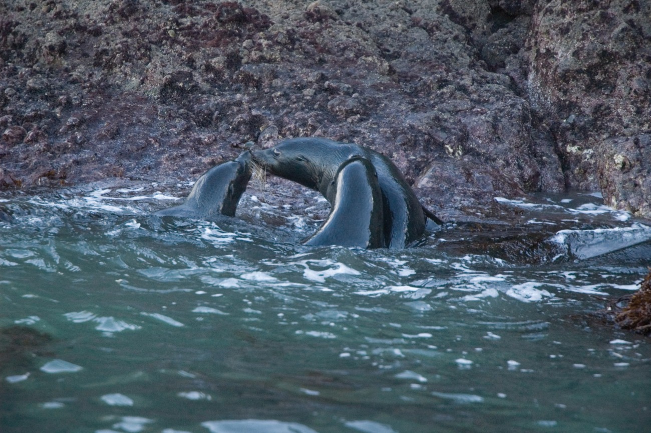 Manukau Harbour New Zealand Geographic