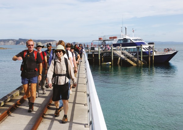 The daily cargo of day-trippers from Auckland alights on Tiri’s dock. Among them are birdwatchers, school groups, tourists, DOC staff and a few volunteers to conduct the guided tours.