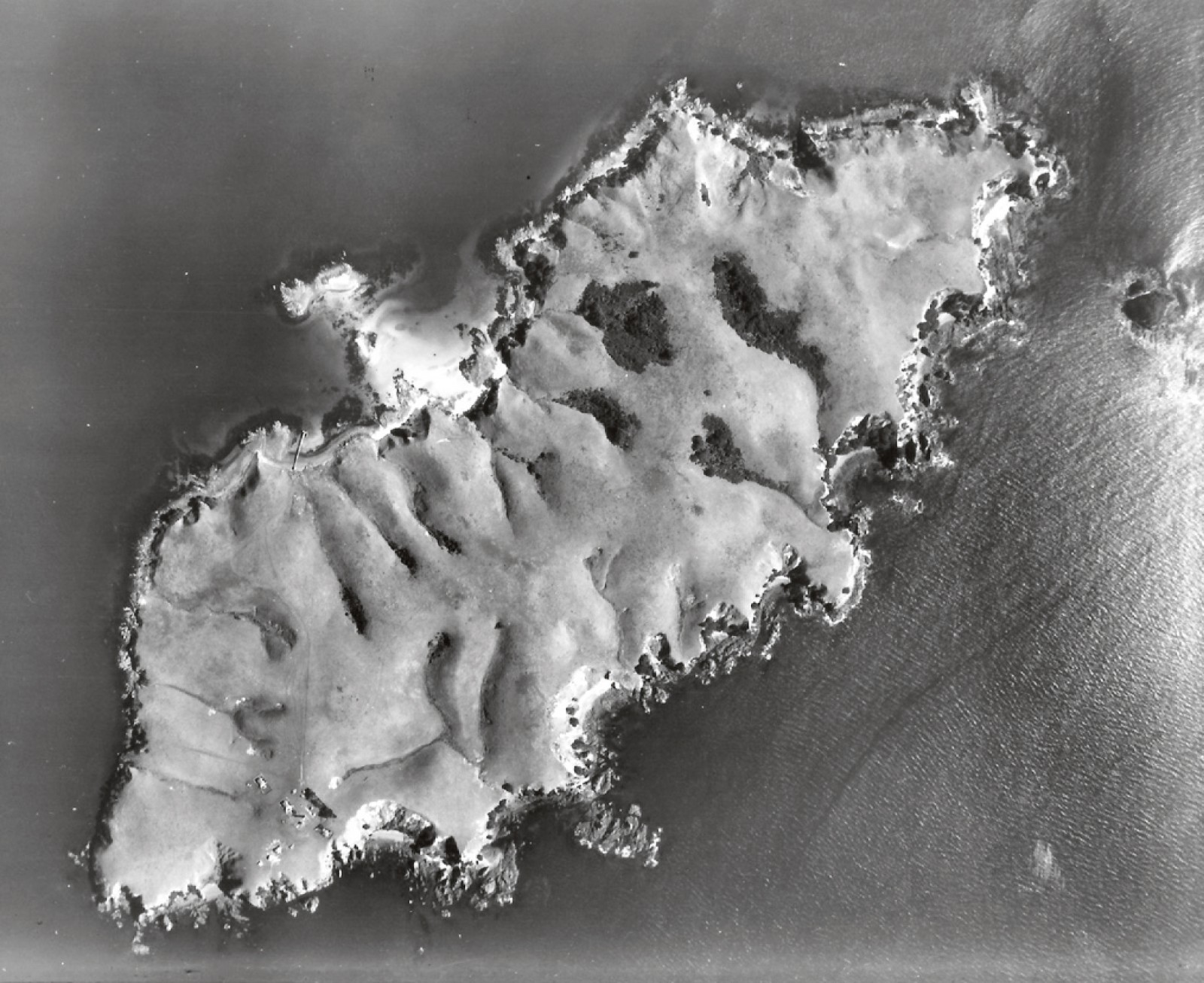 Bird Island New Zealand Geographic