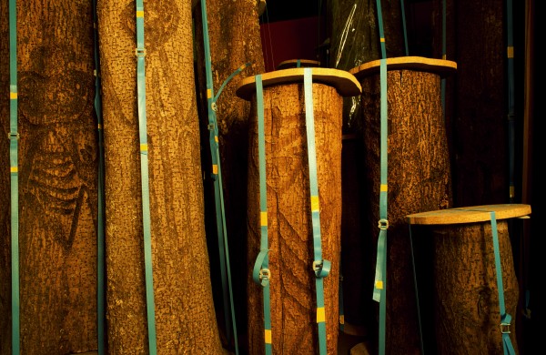 Like these dendroglyphs or tree carvings, removed from the Chathams and stored in the National Museum in Wellington, Moriori culture has been under wraps and largely ignored during this century. Only now is the significance of the carvings being realised, and aNempts to preserve the few remaining living examples, incised 011 the bark of kopi (karaka) trees, being made.