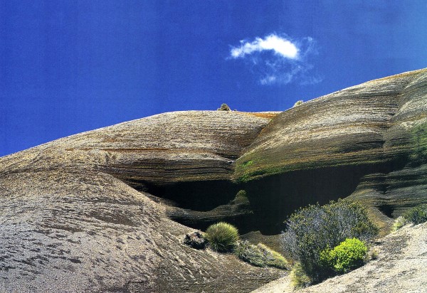 Beyond the desert road - Vimarsana News