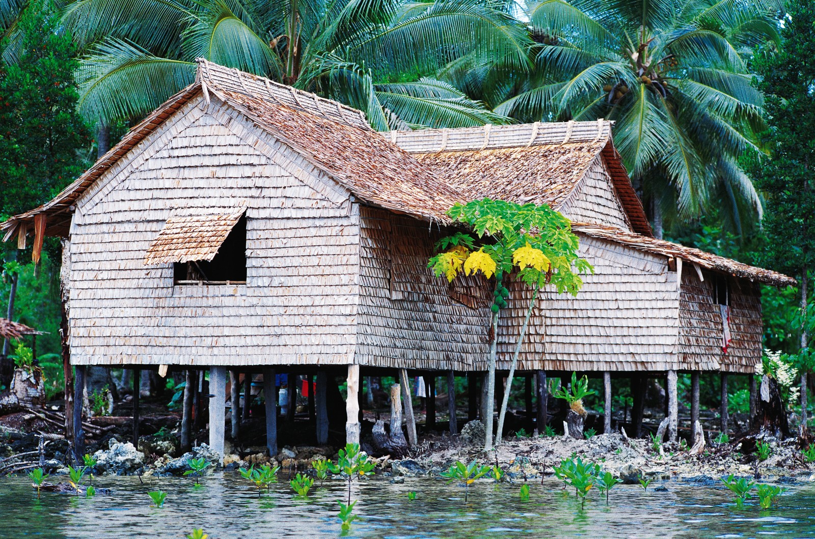 In the Solomon Islands, one of the more remote Pacific nations, homes built entirely of natural materials are still common. Hardwood frames support walls and roofs of sago palm leaves woven together with vines, through which air can pass, providing much-needed ventilation in the equatorial heat and humidity. The coolest air comes off the sea, so houses are frequently built over the water or on stilts at its edge. 