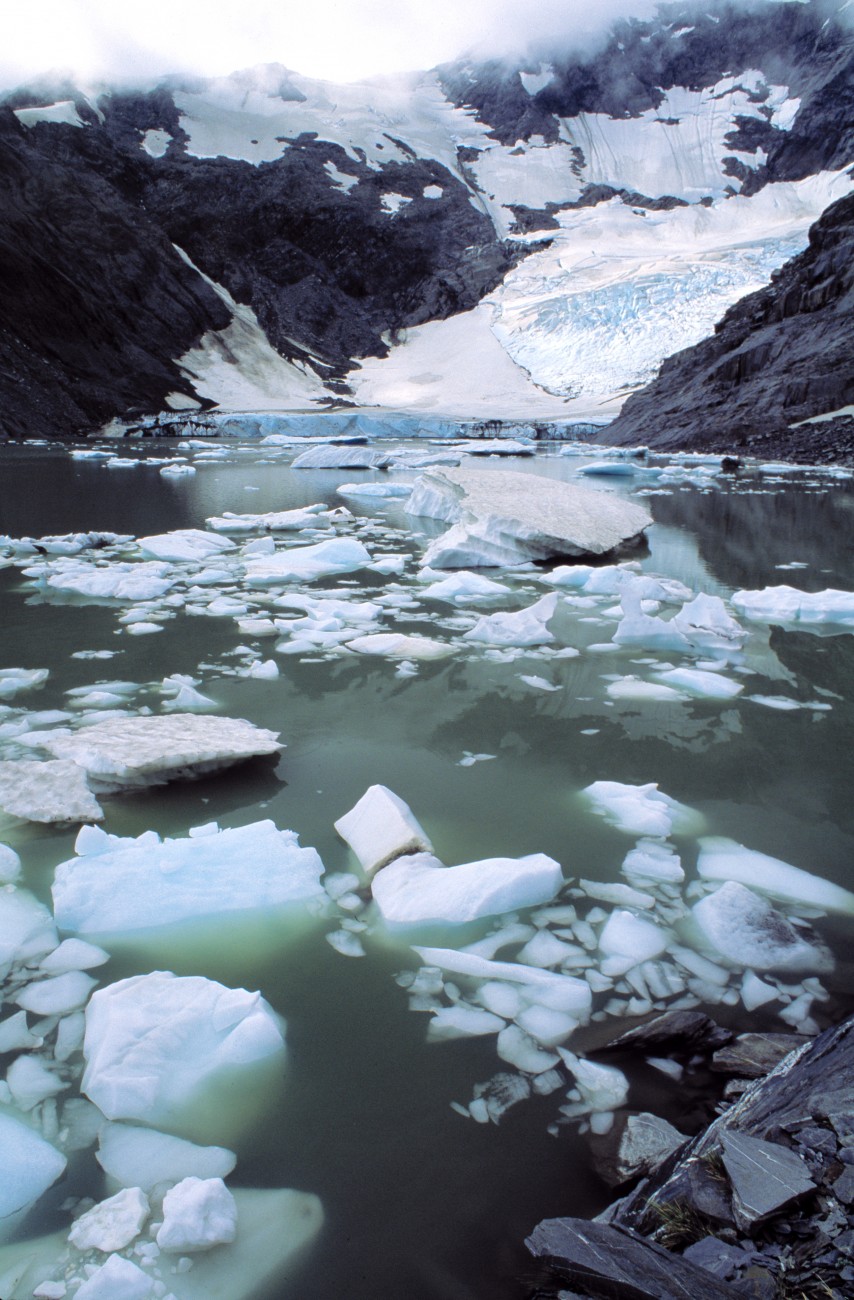 Ivory Glacier, near the head of the Waitaha River west of the main divide, sheds small icebergs into Ivory Lake at its terminus.