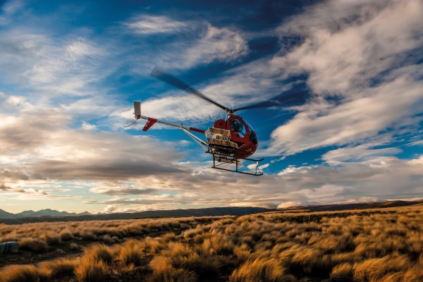 Hugh Cameron uses a helicopter to spot merinos on Otematata Station. While the chopper can speed things up, the bulk of the work is still done the way it has been for generations with shepherds, dogs and horses. Much of the property hasn’t changed since his great-grandfather and namesake Hugh Cameron arrived in the Waitaki Valley at the end of the 19th century. 