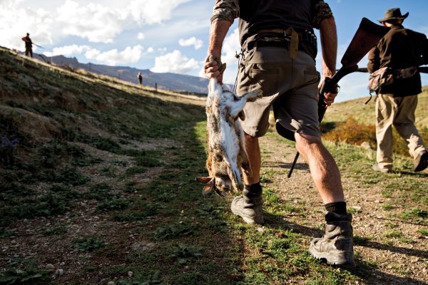 Bunny hunt | New Zealand Geographic - Vimarsana News
