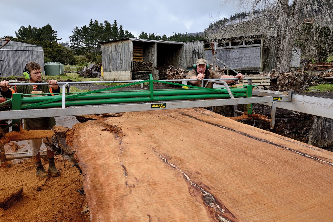 Buried treasure New Zealand Geographic