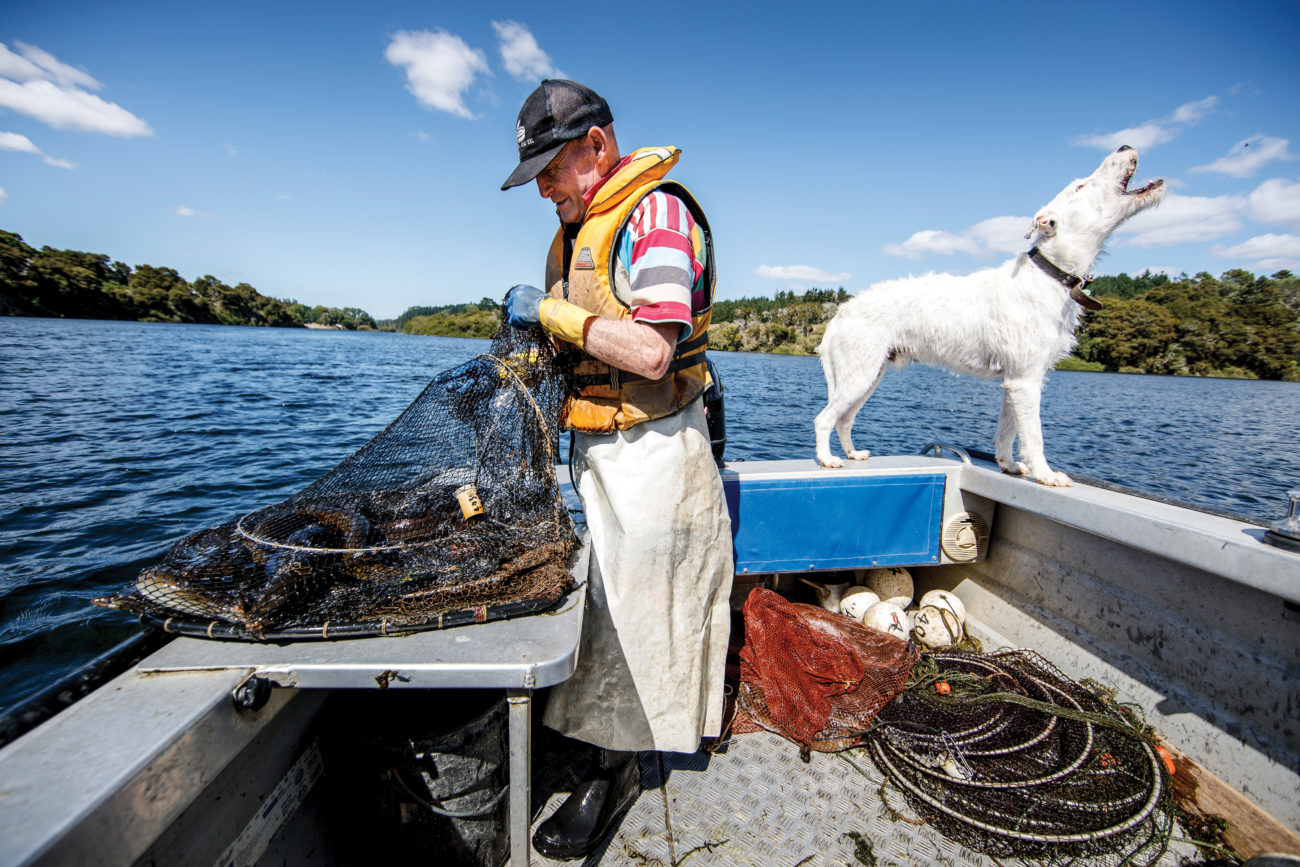 The price of fish New Zealand Geographic