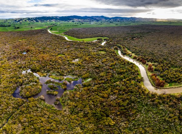 How to fix the Waikato peatlands - Vimarsana News