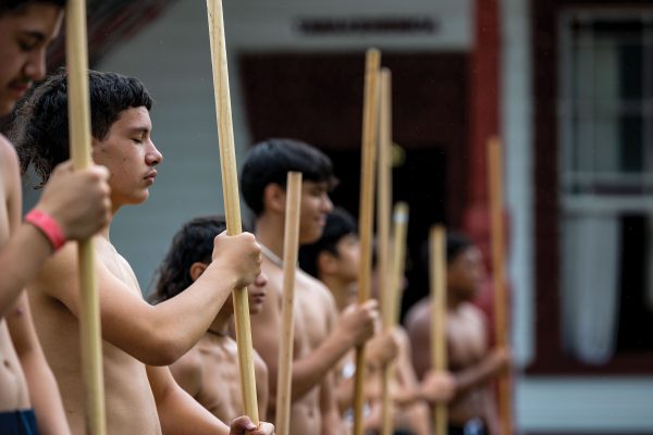 Let the taiaha be a vessel - Vimarsana News
