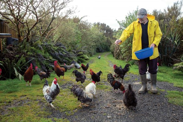 Gobbledy-chook - Vimarsana News